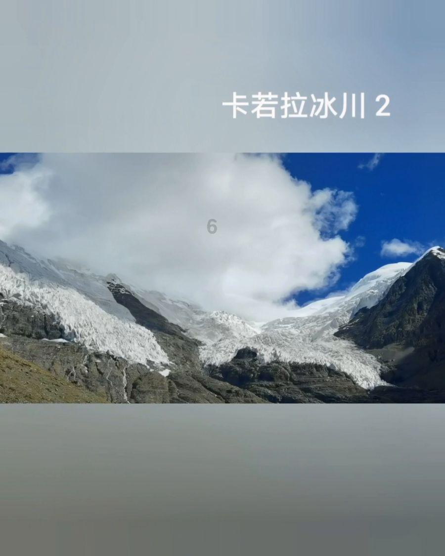 合金装备幸存