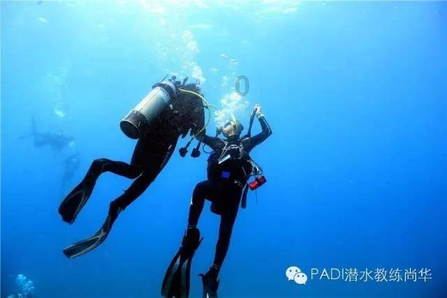 国家魔法森林逃亡