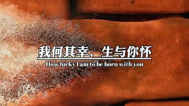 天鹅森林逃脱